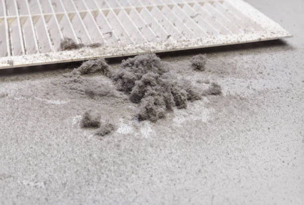 Best Best Air Duct Cleaning Company  in Tremont, IL