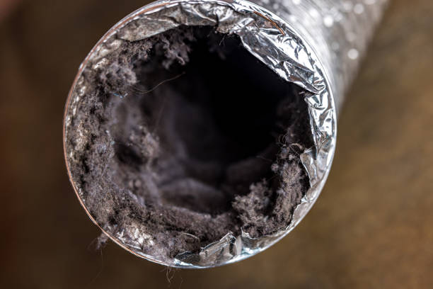 Best Best Air Duct Cleaning Company  in Tremont, IL