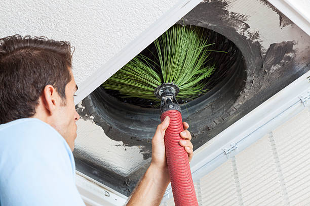 Best Professional Duct Cleaning Services  in Tremont, IL