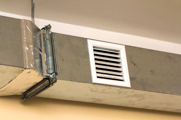 Best HVAC Duct Inspection Services  in Tremont, IL